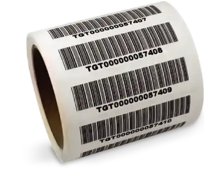Numeric & Variable Data Printing (VDP)